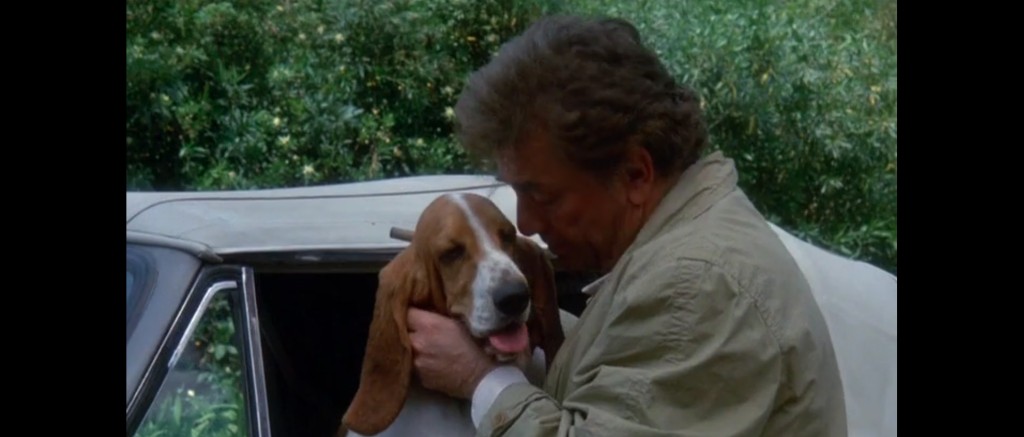 Le lieutenant Columbo et son basset hound appelé Le Chien.